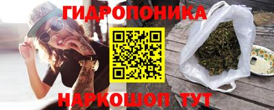 ешки Краснодар