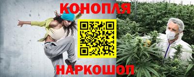 ешки Краснодар