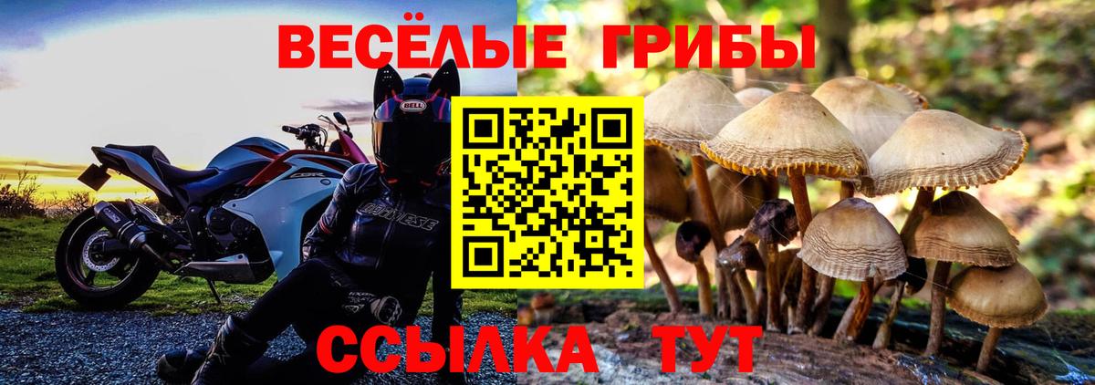 Галлюциногенные грибы мицелий Дубна