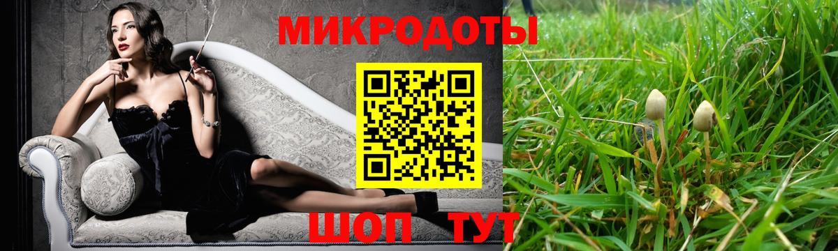Псилоцибиновые грибы мухоморы  Псилоцибиновые грибы GOLDEN TEACHER  Вход с VPN  Дубна 